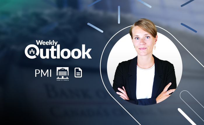 PMI, BoC und Gewinnzahlen