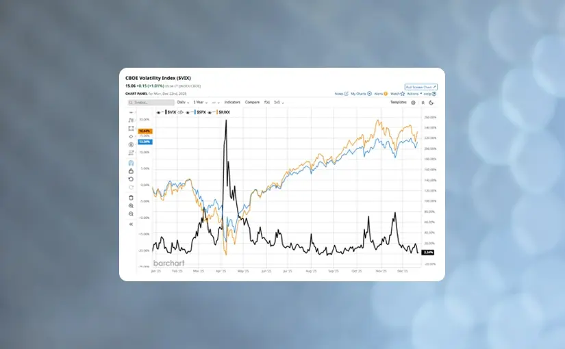 What Worked in 2025: Stock Picking, Trends and High Beta